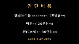 토마토모터스