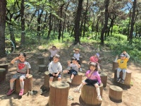 오치카리타스어린이집