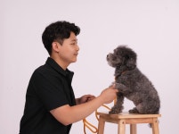 전탁훈련사 강아지훈련