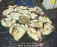 세븐피싱 뉴세븐호