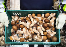 농업회사법인 도움헬스케어