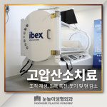 눈높이성형외과의원