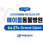 에이플동물병원