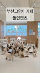 폴인캣츠