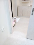 까만콩쌀알