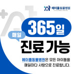 에이플동물병원
