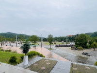 본초다담