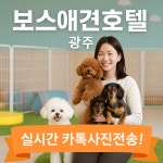 보스애견호텔&유치원