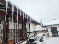 안대머리농가민박