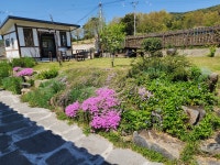 안대머리농가민박