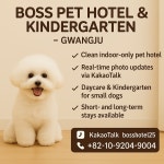 보스애견호텔&유치원