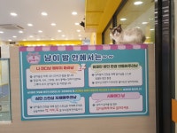고양이카페 아이캣유