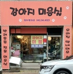 관저펫미용