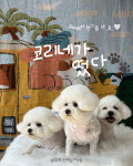 댕모먼트