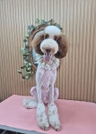 아지컷