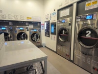 워시팡팡 셀프빨래방 양주덕계점