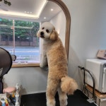몽앤미