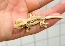 예쁜동물나라수족관 대전점