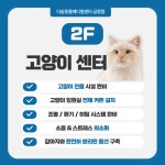 부산 24시다솜동물메디컬센터 금정점