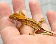 예쁜동물나라수족관 대전점