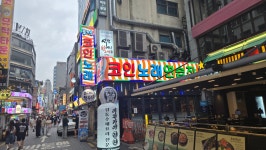 즐거운 코인노래연습장