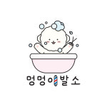송도멍멍이발소