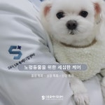 양산에스동물메디컬센터