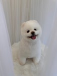 그루플러피
