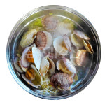 삼포리수산