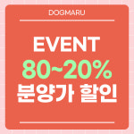 수원강아지분양 고양이분양 도그마루