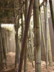 달단지스테이