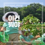 이편한로이어린이집