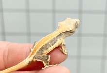 예쁜동물나라수족관 대전점