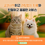 엘로이동물병원