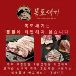 복도새기
