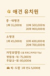 [ 구몽가개 ] 소규모 대형견 유치원 / 호텔링