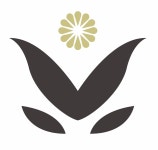 올바른전신연구소