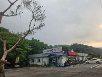 문가네보리밥정식