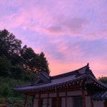 모시밭민박