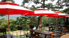 페트라숯불구이 장흥본점