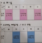 썬스파 레포츠 타운