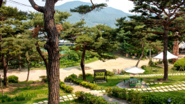 페트라숯불구이 장흥본점