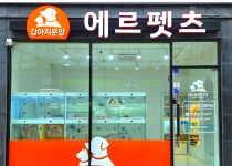 구리강아지분양 애견미용 에르펫츠 구리점