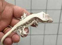 예쁜동물나라수족관 대전점