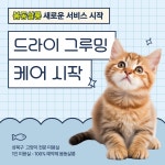 봄동살롱 고양이미용실