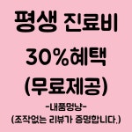 내품멍냥 노원 강아지 고양이분양