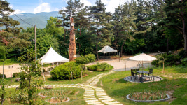 페트라숯불구이 장흥본점