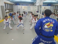 인성태비태권도 & 파워점핑줄넘기클럽