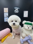 꾸미댕