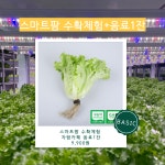 농업회사법인 바른팜 광주지점